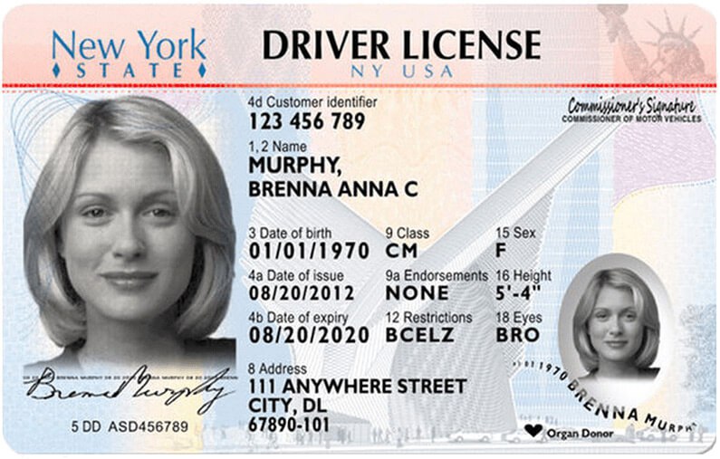 example of driving license
